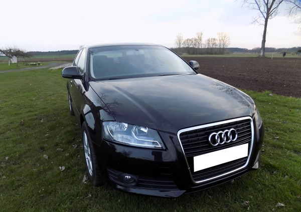 Audi A3 cena 26900 przebieg: 164000, rok produkcji 2010 z Szprotawa małe 407